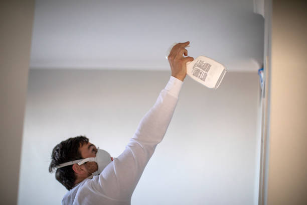 Mold Testing and Removal in Mountain Home, ID