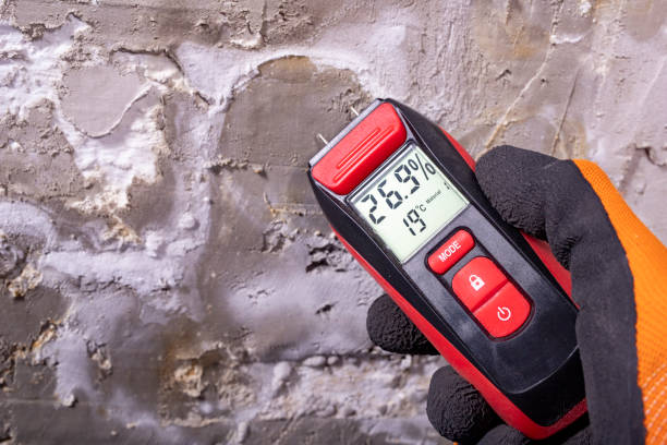 Best Fast Mold Removal  in Mountain Home, ID