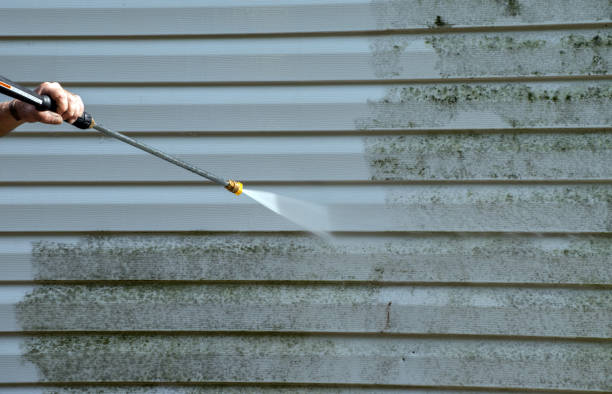 Best Mold Removal Process  in Mountain Home, ID