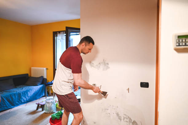 Best Attic Mold Removal  in Mountain Home, ID